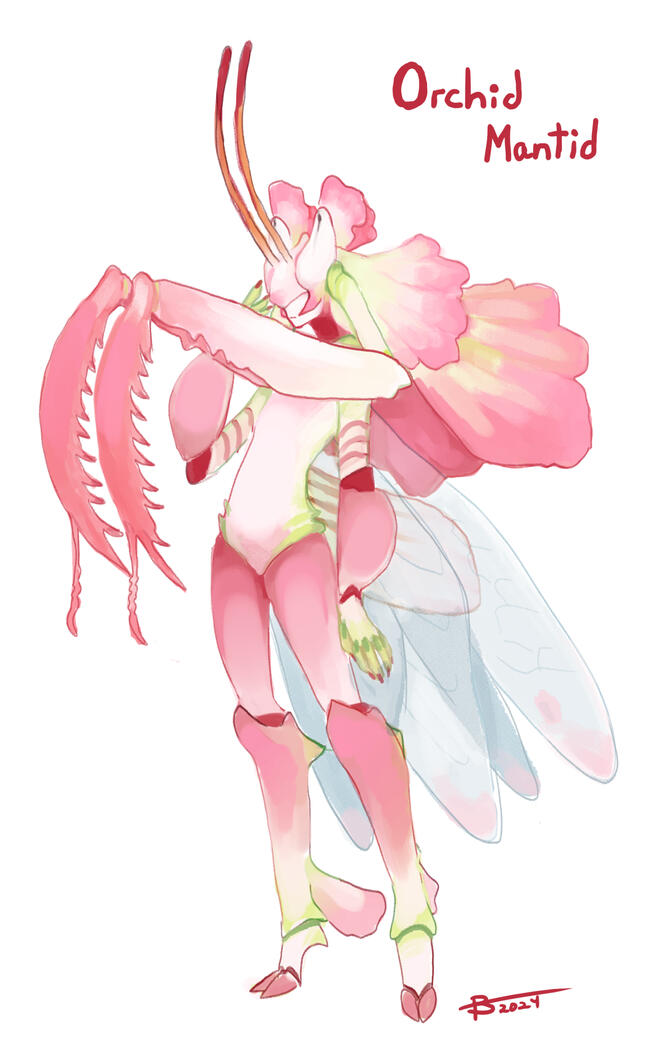 Character Design
