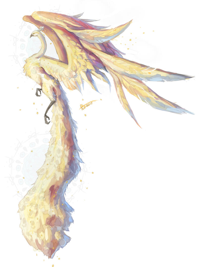 Peacock